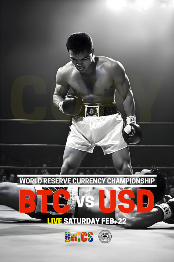 "World Reserve Currency" fight poster in 24"x36" V1