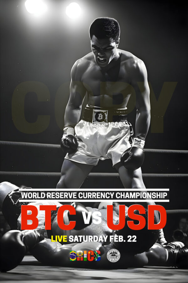 "World Reserve Currency" fight poster in 24"x36" V3