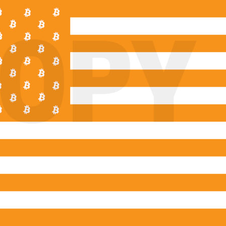 "Bitcoin America" Flag 36"x24" V1